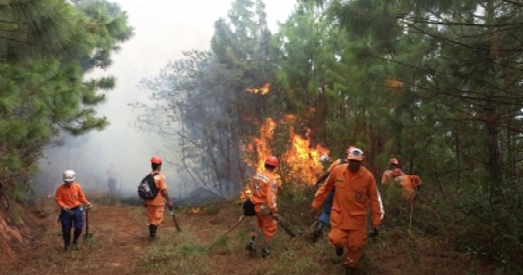 Ideam alerta por posibles incendios forestales en varias regiones