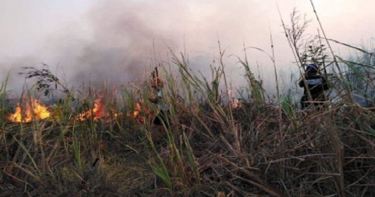 Además del Coronavirus, Magdalena sufre con los incendios forestales