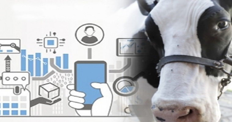 ¿En qué consiste la industria 4.0 y cómo se relaciona con la ganadería?