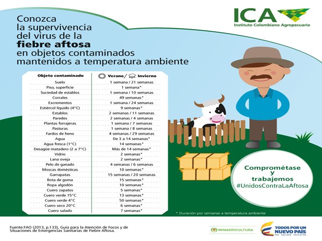 Conozca la supervivencia del virus de la fiebre aftosa en objetos contaminados - 28 de julio de 2017