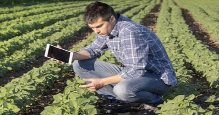 ¿Por qué se necesitan más ingenieros agrónomos en Colombia?