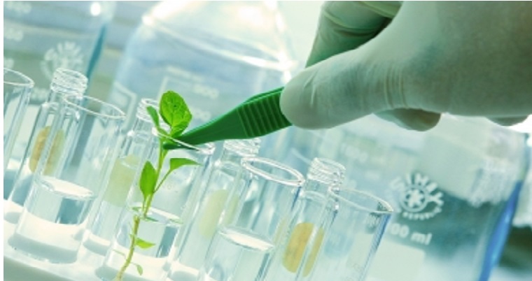 Innovación de la agroindustria chilena presente en Expo Agrofuturo 2019