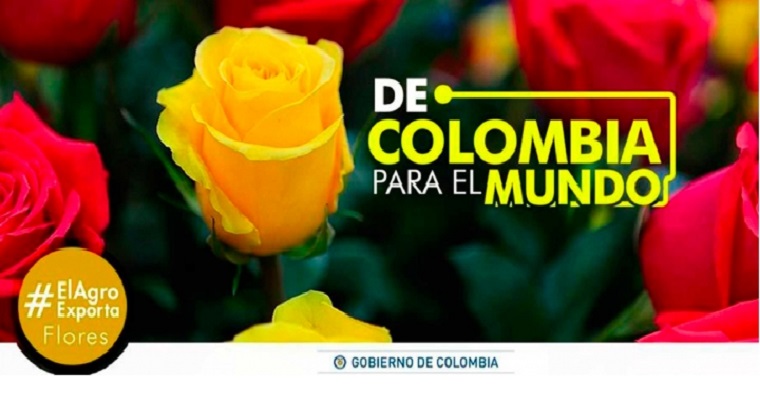 Más allá de San Valentín: floricultores quieren conquistar Europa y Asia.