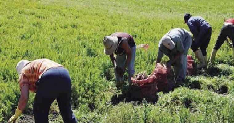 “Las mujeres y los agricultores son buena paga”, afirma la presidenta Banco Mundo Mujer