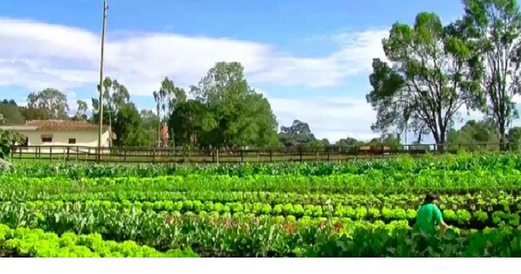 La cartera bruta de microcréditos en Colombia subió a $15,3 billones durante 2019