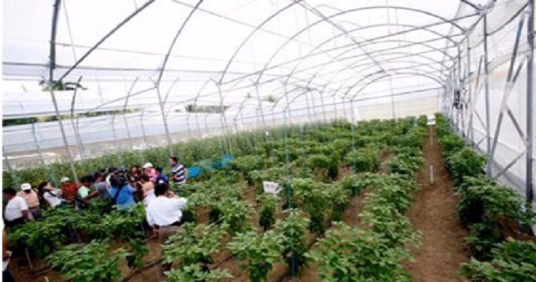 Antioquia aumentará su producción agrícola este año con invernaderos de última tecnología
