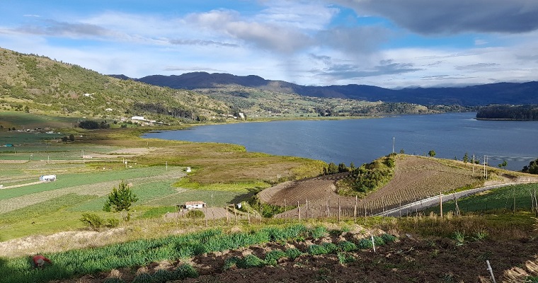 Investigación de AGROSAVIA revela los retos y oportunidades de la reconversión productiva en la cuenca del lago de Tota