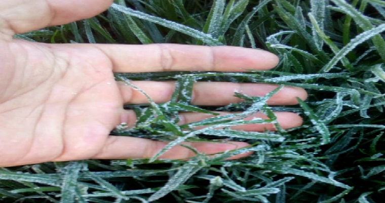 Investigadores de Tibaitatá presentan una predicción del comportamiento que tendrán las condiciones climáticas en Cundinamarca y Boyacá durante el mes de febrero