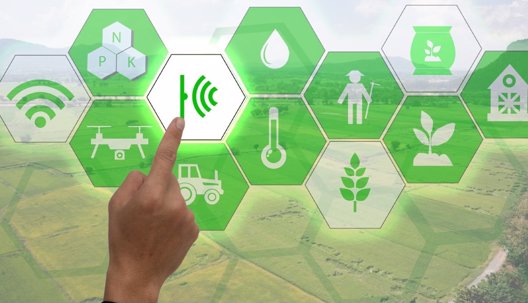 AGRICULTURA DE PRECISIÓN Y COMERCIO ELECTRÓNICO BENEFICIAN PRODUCCIÓN EN EL CAMPO