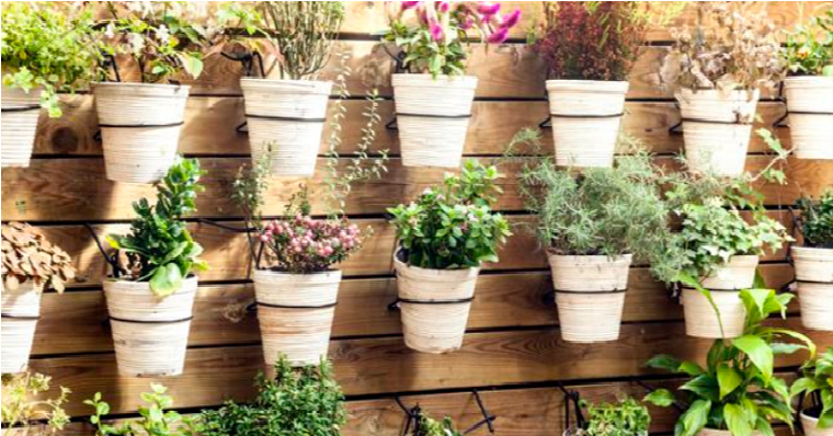 Jardines verticales, el placer de convivir con plantas en poco espacio