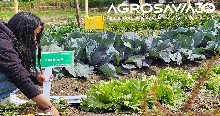 Centro de Investigación Obonuco finaliza el Proyecto de "jóvenes rurales"