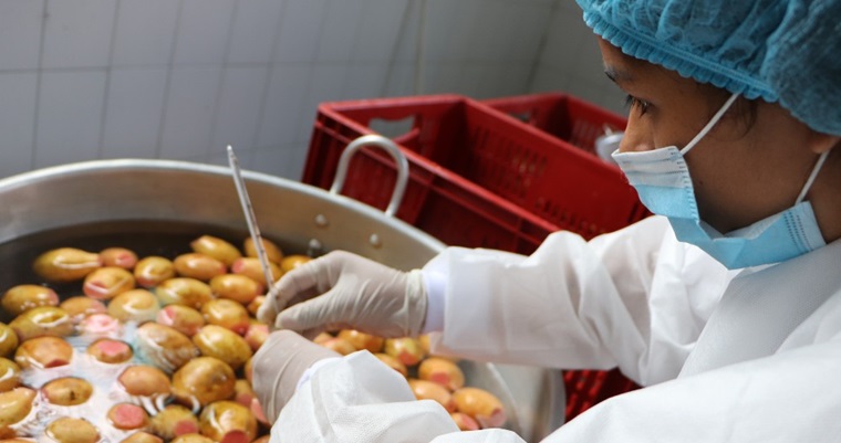 AGROSAVIA incentiva a los Jóvenes Rurales como protagonista del desarrollo agropecuario colombiano