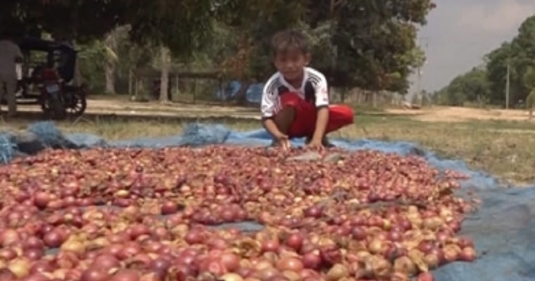 Los jugos Bio Amayu, hechos de superfrutos del Amazonas, llegan a Colombia