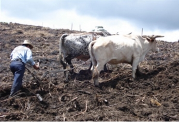 7 soluciones e innovaciones que están transformando la agricultura