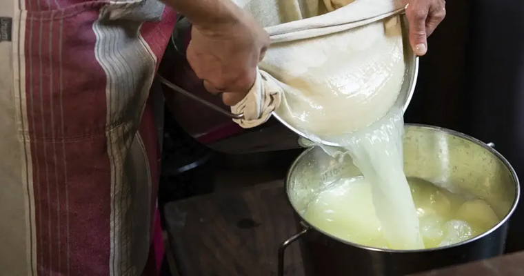 El lactosuero transformado en prebióticos ayuda a la digestión