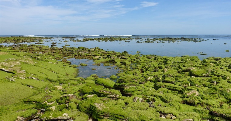 Laboratorios flotantes contra la contaminación
