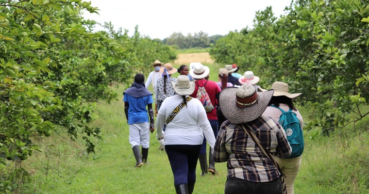 Generando conocimiento para un agro sostenible en Colombia