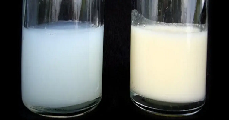 ¿Cómo detectar las alteraciones que afectan la calidad de la leche?