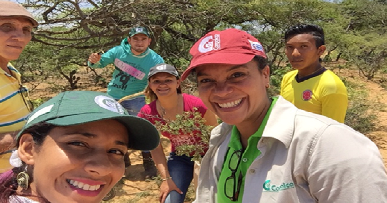 Componentes naturales para el control de parásitos en ovinos como alternativa de bajo costo para los productores en el país