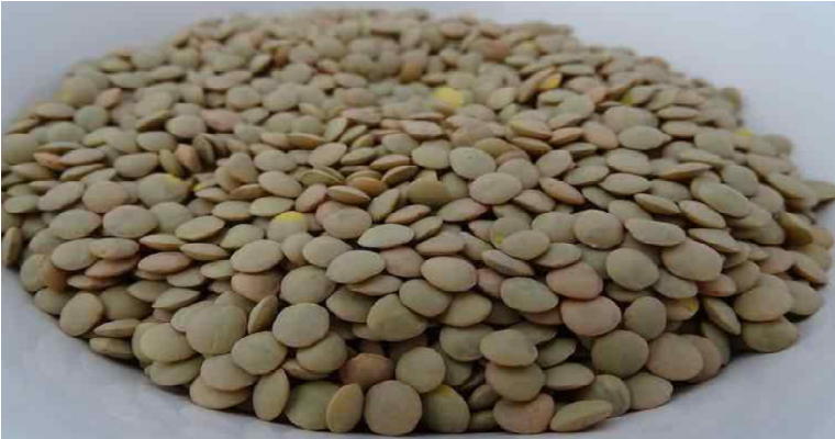 El superalimento que previene la anemia, da energía y es bueno para la diabetes