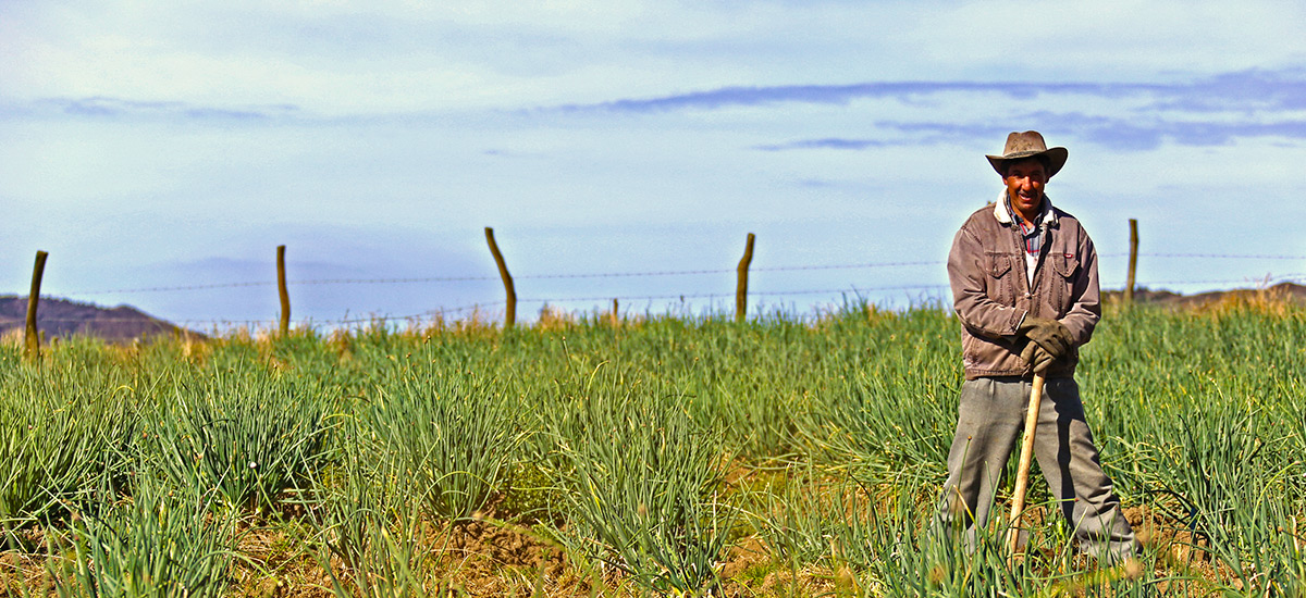 Gobierno Nacional firma Ley Zidres para garantizar el desarrollo integral del campo colombiano - 03 de agosto de 2016