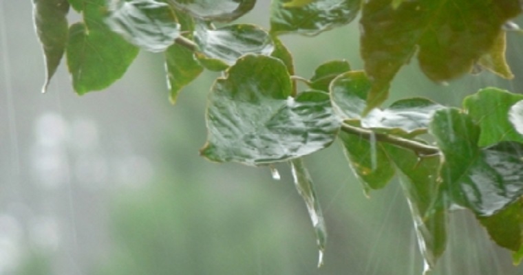 Ideam prevé lluvias y vendavales en buena parte del país