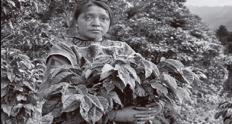 El IICA, con apoyo de Corteva Agriscience, lanza la segunda edición de “Luchadoras – Mujeres Rurales en el Mundo”
