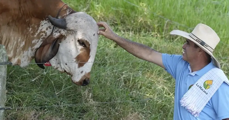 La Macana, un modelo de aprovechamiento de todos los recursos disponibles