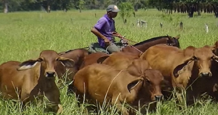 La tecnología, clave en la administración de fincas ganaderas