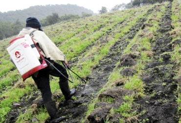¿Aplica usted las buenas prácticas de fertilización?