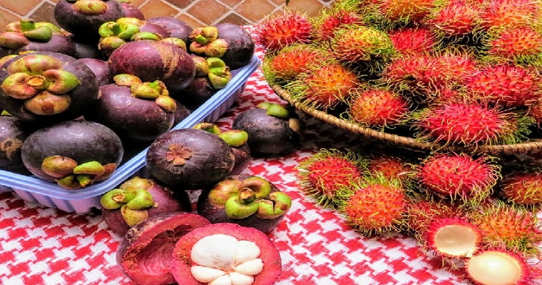 La Universidad Autónoma de Chiapas en México, público el libro: Tópicos selectos de conservación de recursos naturales en América Latina.