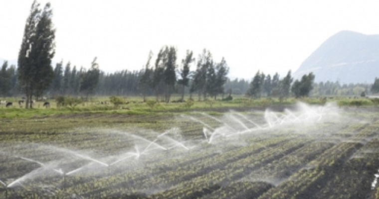 Cómo maximizar las bondades del área de riego en la finca