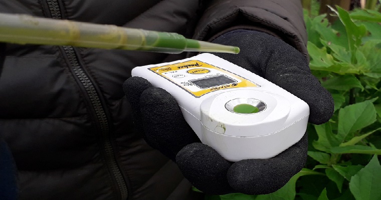 Medición de grados brix como herramienta para conocer el potencial nutricional en arbustos forrajeros