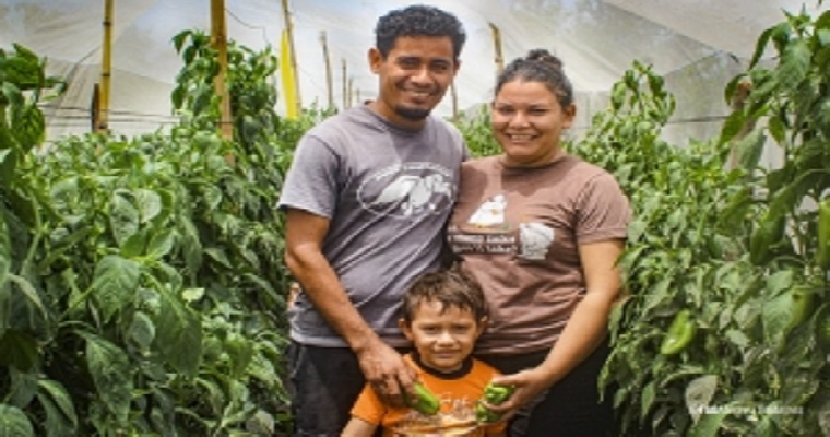 FAO lanza un nuevo espacio digital para promover la innovación global en la agricultura familiar