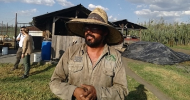 FAO desarrolla métricas para medir la sostenibilidad agrícola y ganadera