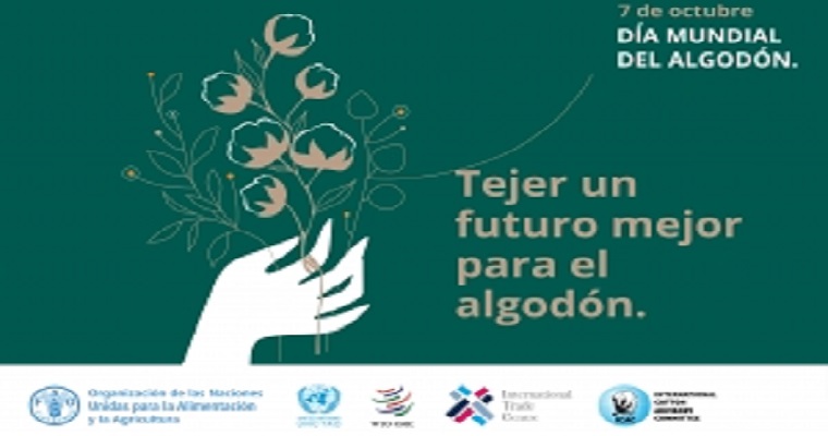 Día Mundial del Algodón 2022: Tejiendo un futuro mejor para el algodón