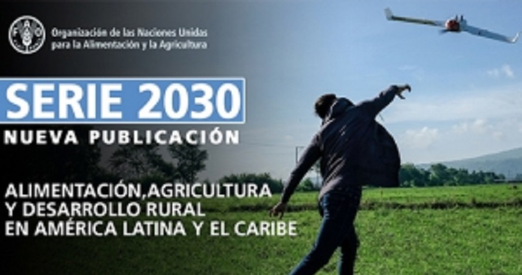 Serie de investigaciones analiza los principales desafíos rurales, agrícolas, alimentarios y ambientales de América Latina y el Caribe