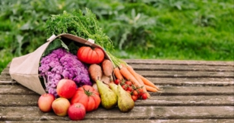 En un año, el número de personas con hambre América Latina y el Caribe creció en 4 millones