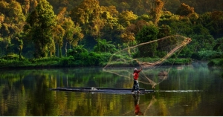 Se necesitan medidas urgentes para salvaguardar la biodiversidad de los bosques de América Latina y el Caribe