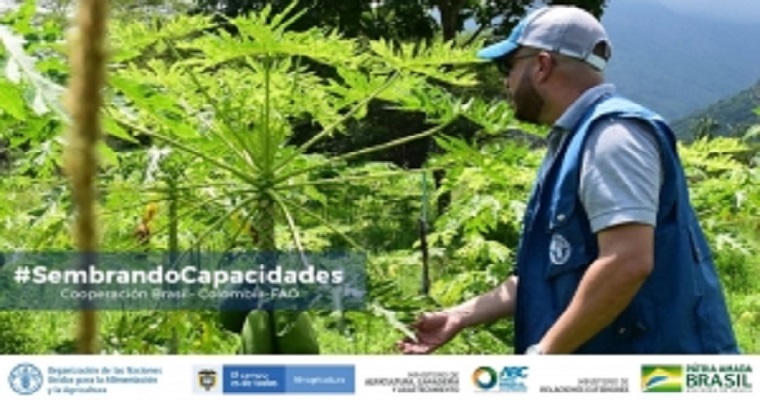 Brasil y Colombia intercambiaron experiencias en políticas de fortalecimiento de la agricultura familiar