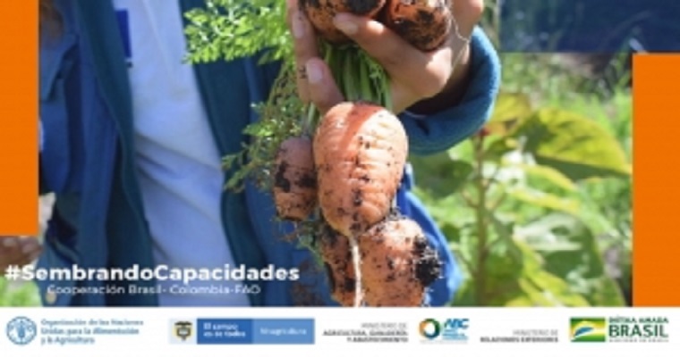 Colombia y Brasil intercambian experiencias en materia de asociatividad y cooperativismo en la agricultura familiar