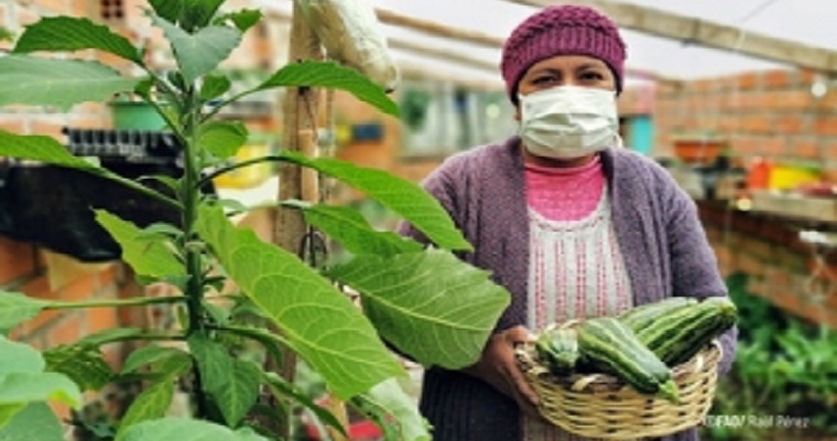 Las políticas de recuperación post COVID-19 pueden impulsar una agricultura más sostenible en América Latina y el Caribe