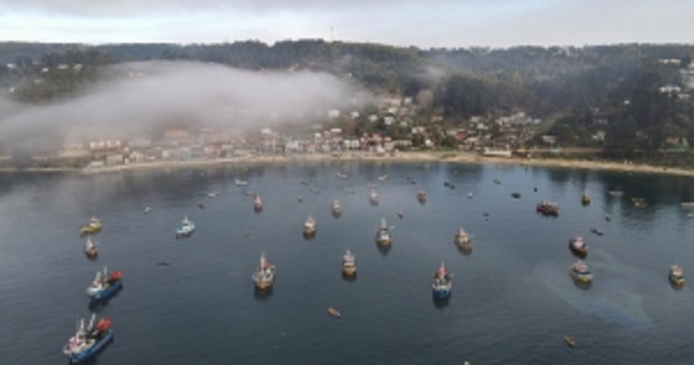 Países de América Latina y el Caribe se comprometen a avanzar hacia una pesca y acuicultura más sostenible, resiliente e inclusiva