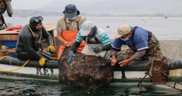 FAO lanza el año Internacional de la Pesca y la Acuicultura Artesanales 2022 en América Latina y el Caribe
