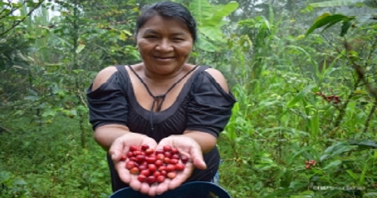 FAO ofrece un nuevo curso gratuito sobre agroecología