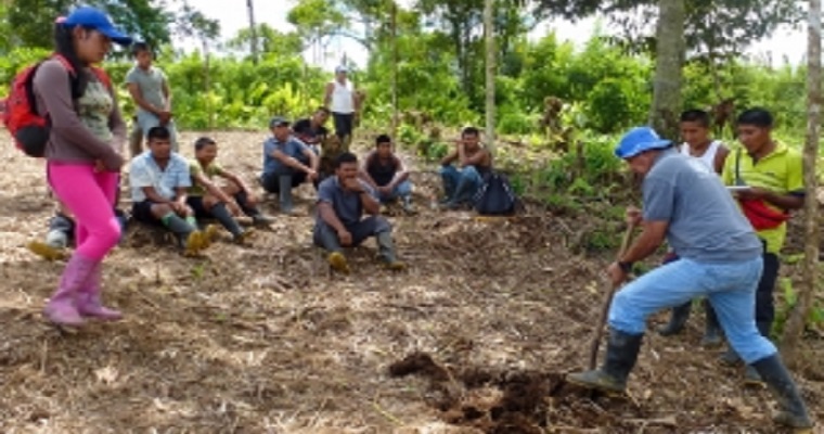 Integración, coordinación y recursos: retos claves para impulsar la acción climática en el sector ganadero