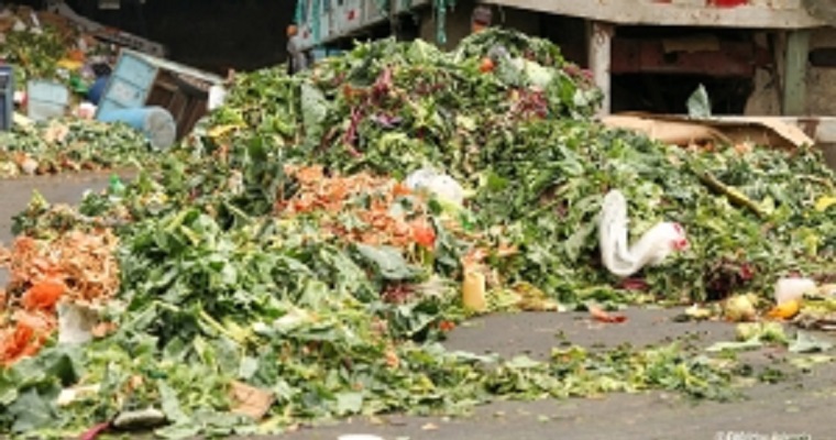 II Cumbre sobre Reducción de Pérdidas y Desperdicios de Alimentos en América Latina y el Caribe