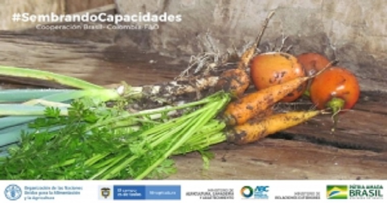 Sembrando Capacidades presenta documento con directrices para la investigación en agroecología en Colombia y Brasil