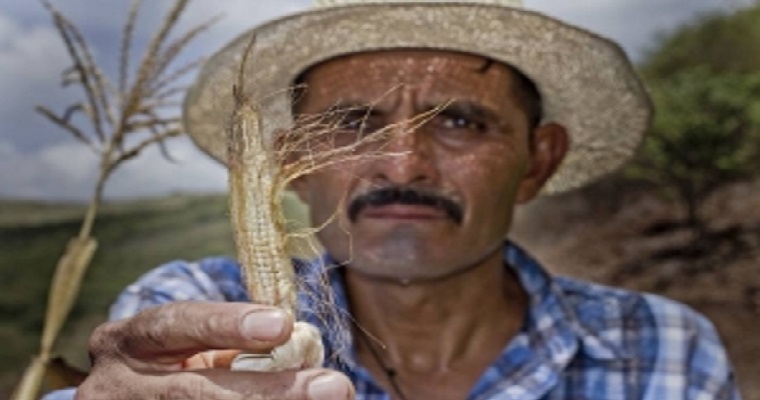 Países de América Latina y el Caribe impulsan acciones climáticas con apoyo de la FAO