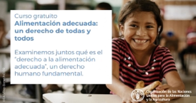 FAO lanza curso gratuito “Alimentación adecuada: un derecho de todas y todos” en el marco de la conmemoración del Día de los Derechos Humanos